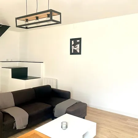 Le Parisien - Logement Pour 2 Personnes アパート ポアティエ